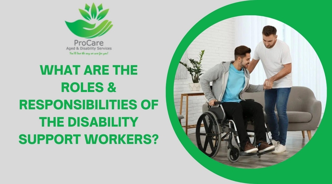 What are the Roles & Responsibilities of The Disability Support Workers?