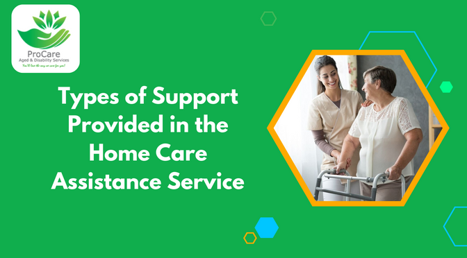 Types of Support Provided in the Home Care Assistance Service